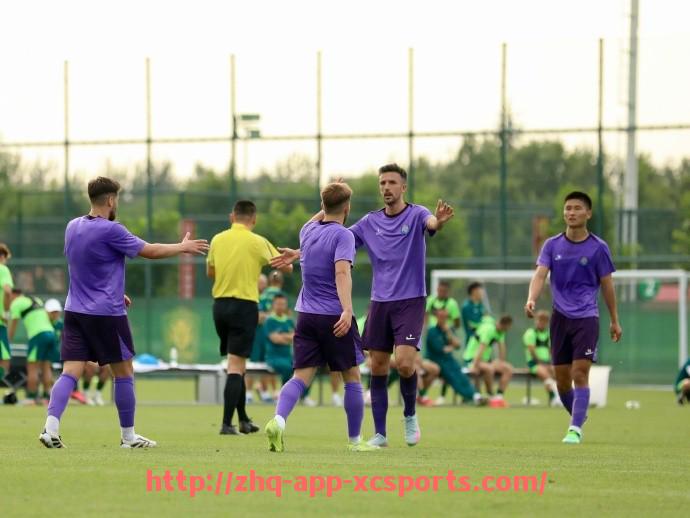 杏彩体育-法甲球迷文化活动与俱乐部互动模式